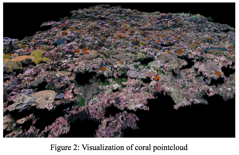 corals2