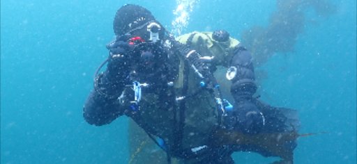 FishSense Lite Banner