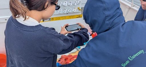 FishSense Mobile Banner