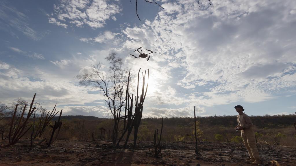 Radio Collar Tracker platform in flight in the Dominican Republic, July 2015. Photo Credit: Engineers for Exploration