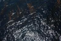 ocean1
